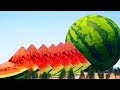 Giant watermelon domino simulation