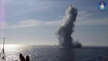 VSW(Very Shallow Water) Benevolent Depolluting 2016