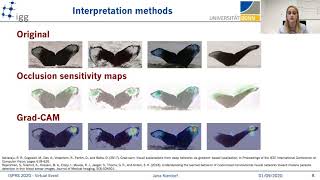 What Identifies a Whale by its Fluke? On the Benefit of Interpretable ML for Whale Identification