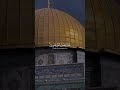 دعوات المظلومين لن تذهب سدى وإنما يتلقاها الله ويقول لها وعزتي وجلالي لانصرنك ولو بعد حين دعوات المظلومين لن تذهب سدى وإنما يتلقاها الله ويقول لها وعزتي وجلالي لانصرنك ولو بعد حين