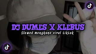 DJ DUMES X KLEBUS SLOWED VIRAL TIKTOK MENGKANE 🎶
