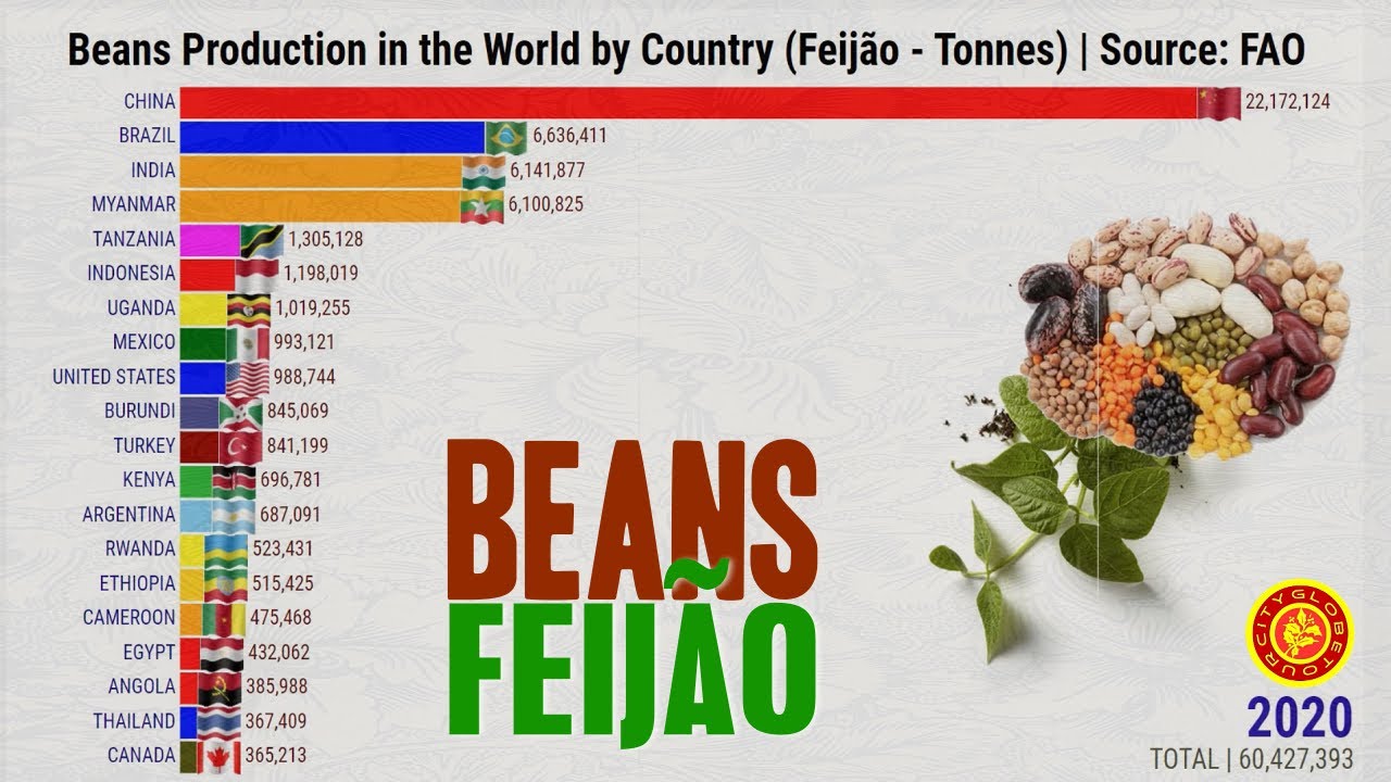 Maiores Produtores de Feijão do Mundo YouTube Maiores Produtores de Feijão do Mundo YouTube