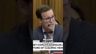 The Billion-Dollar Question: Should We Keep Throwing Money at EVs?