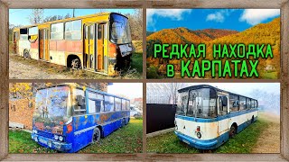 Найден Икарус Мосгортранса В Горах Карпат Ikarus 260 Или 280? А Так Же Найдены Ikarus 255 И Лаз 695Н