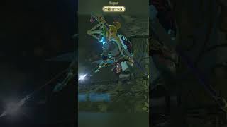 Definitely Not The Intended Solution 6! #Zelda #BOTW #shorts