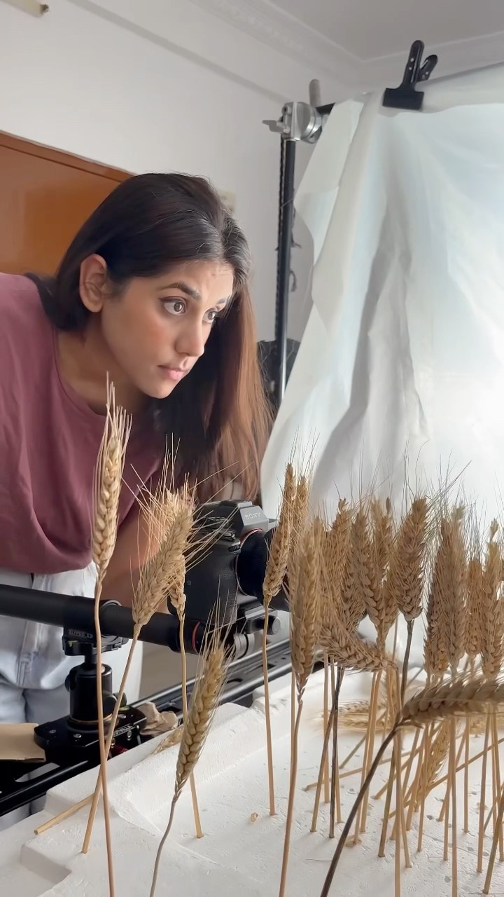 Creative atta commercial ✨? #atta #wheat #food #commercial #bts #behindthescene #roti