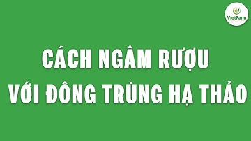 Đông trùng hạ thảo ngâm rượu - Bổ Thận Tráng Dương - Vietfarm