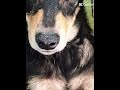 Edit das Fofuras de Thor e Malu #Maria Eduarda #Edit #Thor e Malu #copines #Aya Nakamura #fofuras...