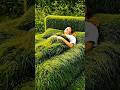 Beds Amazing! Do you like?