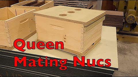 Three Way Queen Mating Nucs: How & Why