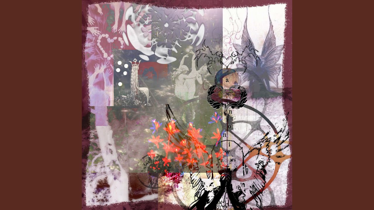 在 YouTube 上观看 Midnight Sun