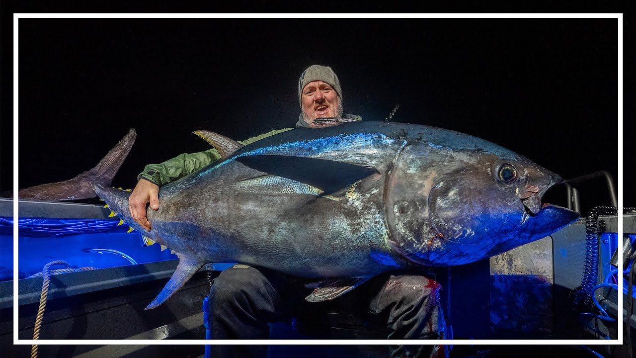 Мы поймали самого большого тунца в истории — 163 кг