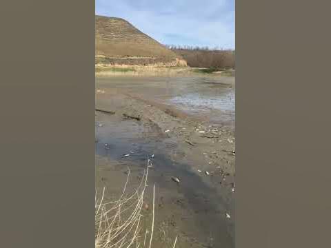 Река Терек 07/05/2020 - YouTube