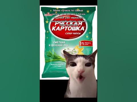 #чипсы #кот - YouTube