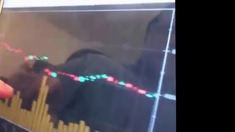 NCharts3d vs Infragistics trading apps for  APPLE IOS Ipad Iphone