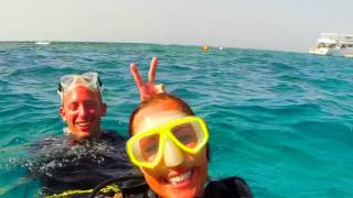 Diving Hurghada Egypt GoPro Hero 2016 whaleshark and dolphins