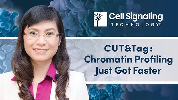 Chromatin Profiling Just Got Faster with CUT&Tag | Cell Signaling Technology