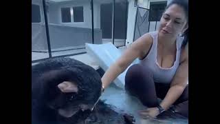 Limbani and mom enjoying a good time in the pool🐵💙 by ZWF MIAMI 2,376 views 1 year ago 13 seconds