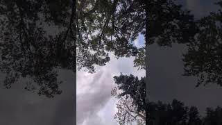 Lymow operating under very LittlevView of the sky