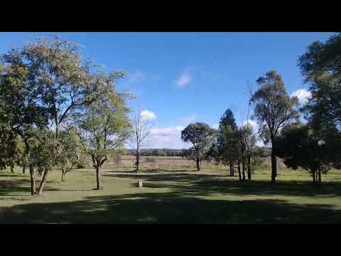 #0071 The Window | #TimeLapseProject | 2025-06-09