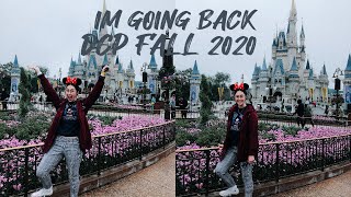 ACCEPTED TO THE HAPPIEST INTERNSHIP ON EARTH // DCP FALL 2020