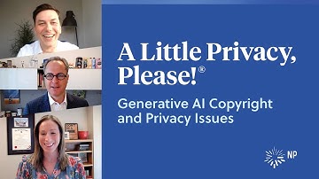 Generative AI Copyright and Privacy Issues | A Little Privacy, Please! | Nixon Peabody