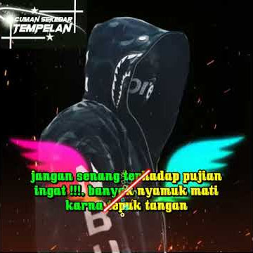 Quotes Frontal bermoral