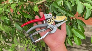 Bộ đôi kéo cắt tỉa kapusi cộng lực cực khoẻ 0582132888