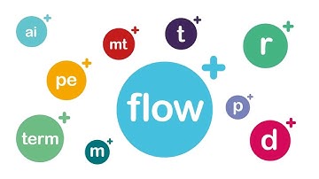 flow plus demo - translate plus - 2024