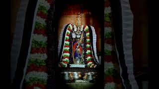Thenthiruperai Nigaril Mugil Vannan Perumal