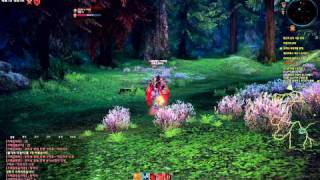 TERA Archer killing low level bam