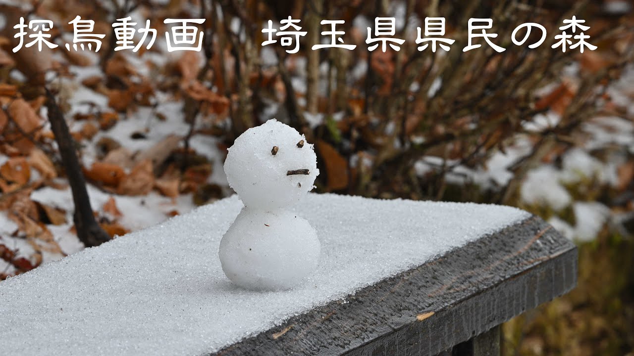 ぴぬぴこ様✨リリパットレーン✨Ｐeace Ｏn Earth✨雪の教会 ぴぬぴこ様✨リリパットレーン✨Peace On Earth✨雪の教会