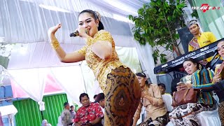 FULL KOPLO PRAHU LAYAR - BOJO LORO - TALI KUTANG - PENGANTIN BARU Campursari GENTA BUANA