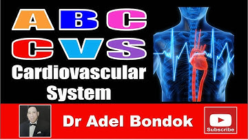 ABC of CVS, Cardiovascular System, Dr Adel Bondok Making Anatomy Simple