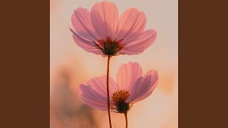 Gentle Remains