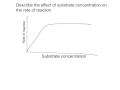 Enzyme Reaction Quiz