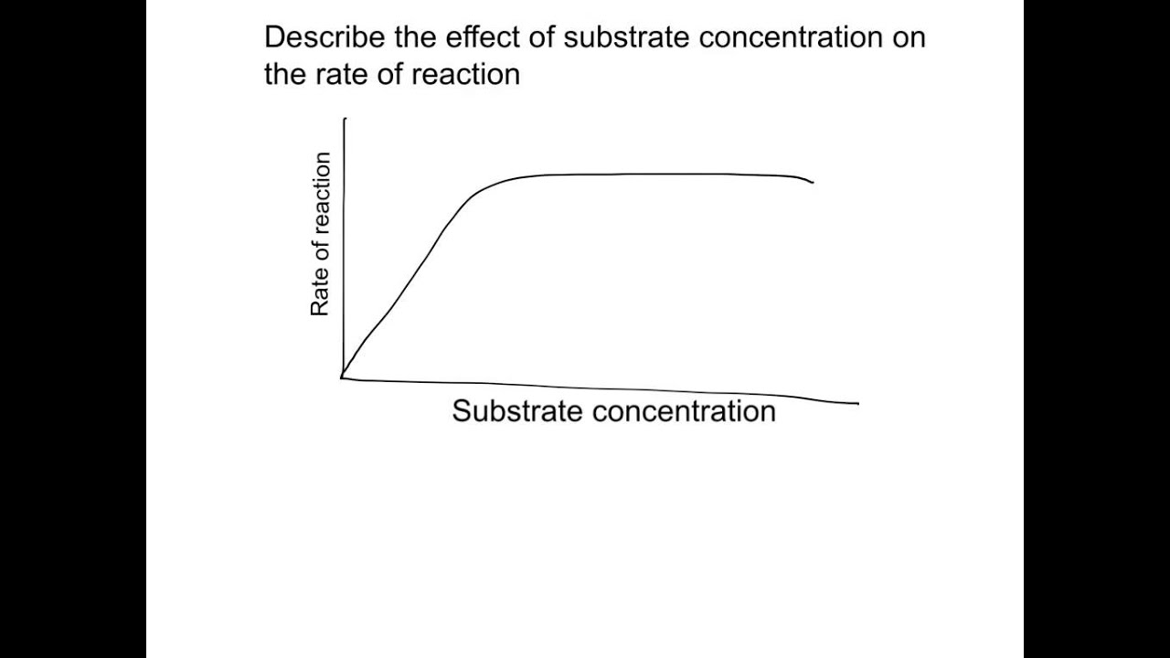 enzyme graphs - YouTube