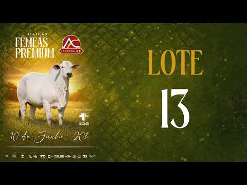 LOTE 13 ARFS 279
