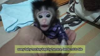 How Should we behave if she is like this, lovely Fauna Youtube Channel