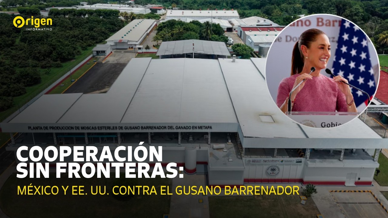 Cooperación sin fronteras: México y EE. UU. contra el gusano barrenador