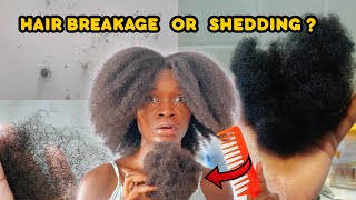 Is my hair shedding or breaking?? | How to stop  \& prevent hair loss \& breakage