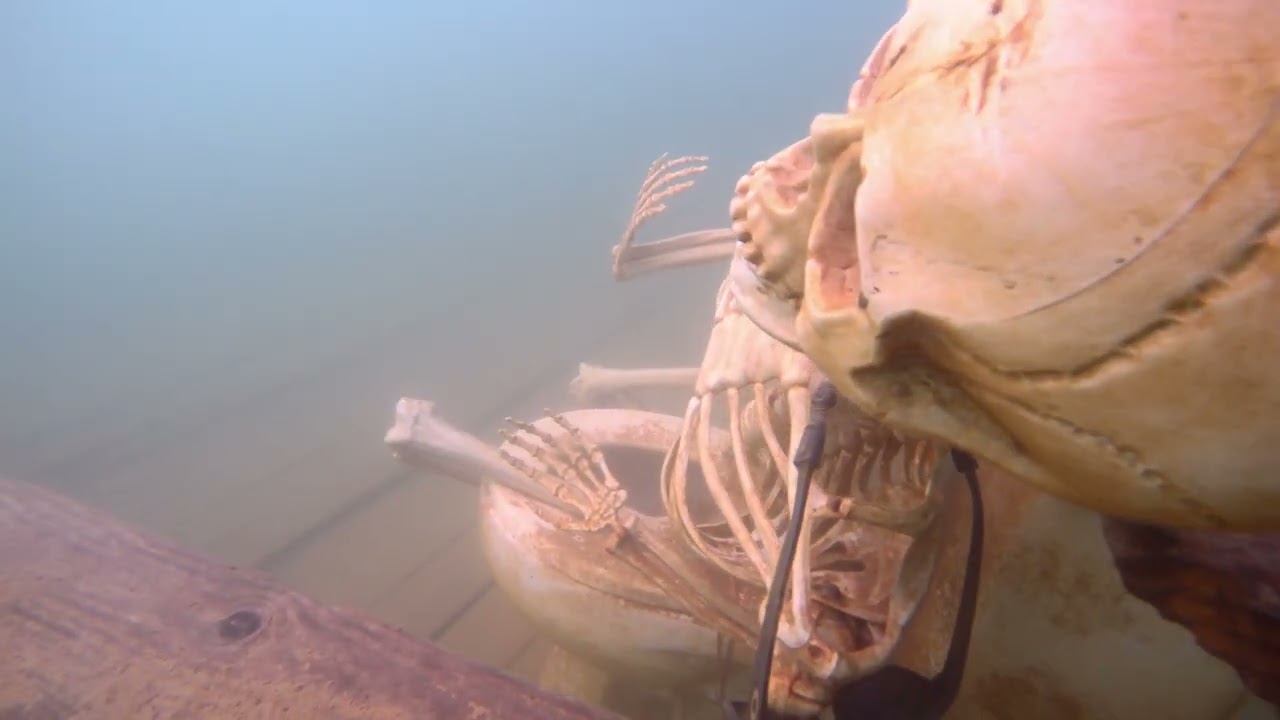 Open Water 2 22 2026