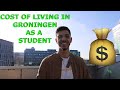 Cost of living in groningen  tips to save money as a student  university  netherlands