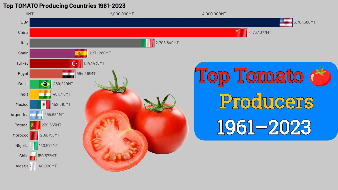 Top Tomato Producing Countries 1961–2023 | Tomato Producers