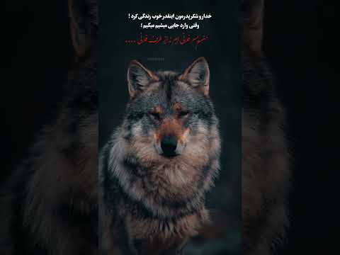   متن دلنوشته