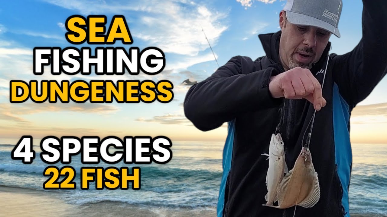 Sea fishing tackle box essentials - SeaAngler
