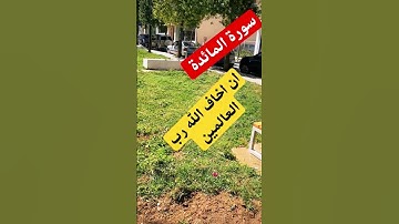 سورة المائدة #مصر #اكسبلور #المغرب #المصحف #قرآن#تيك_توك #قرآن #القزابري #رمضانمبارك