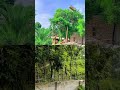 Allah Tala ke madad #viralvideo #islamic #shorts #pakistan