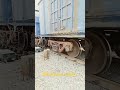 railway #indianrailways #railway #train #railwheel #indianrailway