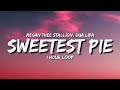 Megan Thee Stallion &amp; Dua Lipa - Sweetest Pie (1 Hour Loop) [Tiktok Song]